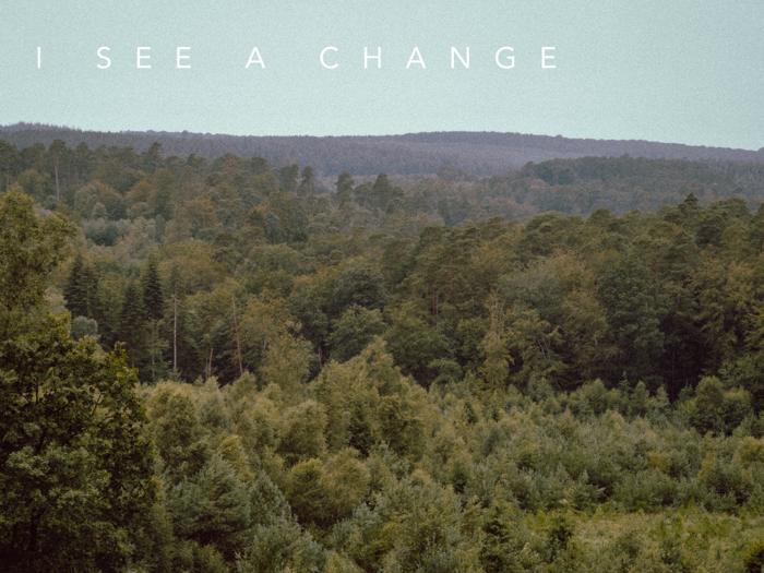 I see a change