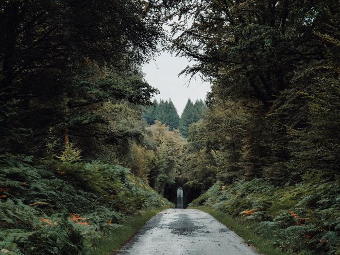 Something in the way